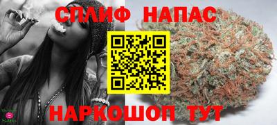 прущие грибы Комсомольск-на-Амуре