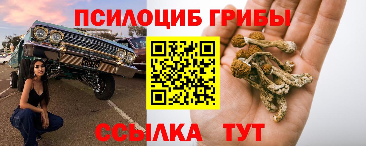 Псилоцибиновые грибы Psilocybe  продажа наркотиков  Нарьян-Мар  Вход с VPN 