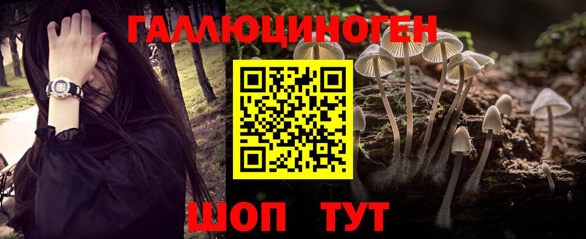 Псилоцибиновые грибы GOLDEN TEACHER Нарьян-Мар