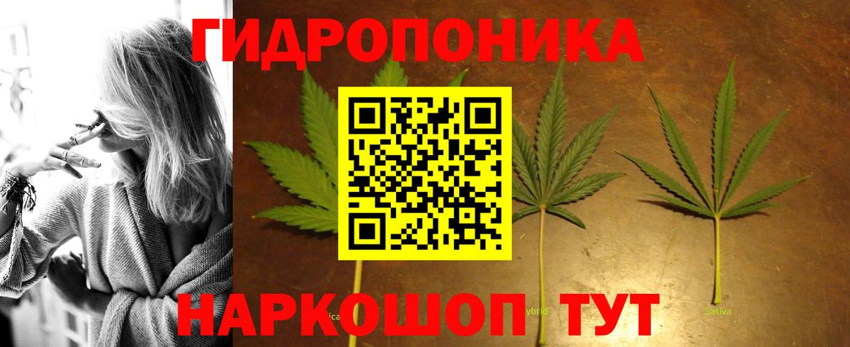Бошки Шишки план  МАРИХУАНА конопля  Вход с VPN  Нарьян-Мар 